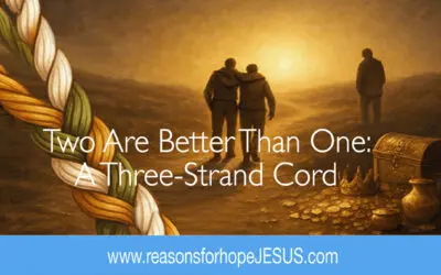 Two Are Better Than One: A Three-Strand Cord