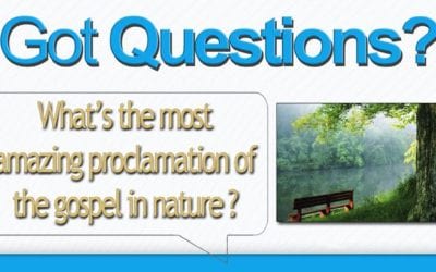 What’s the most amazing proclamation of the gospel in nature? The Buttefly!