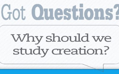 Why should we study creation?