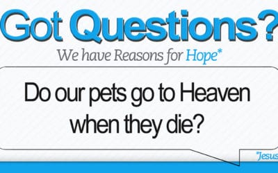 Do our pets go to Heaven when they die?