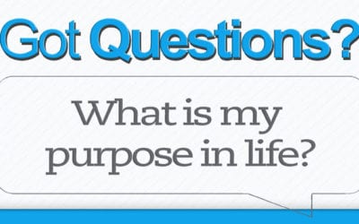 What Is My Purpose In Life?