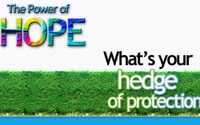 What is your hedge of protection?