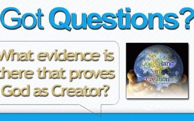 What evidence is there that proves God as Creator? A Butterfly!