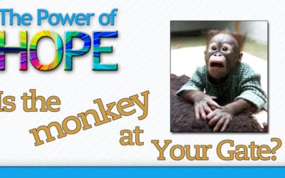 Is the Monkey at Your Gate?