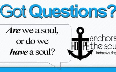 Are we a soul? Or do we have a soul?