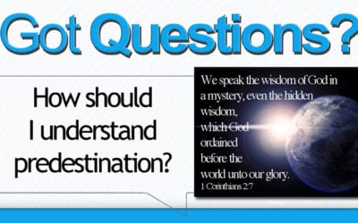 How Should I Understand Predestination?