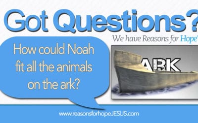 How Could Noah Fit All the Animals on the Ark?