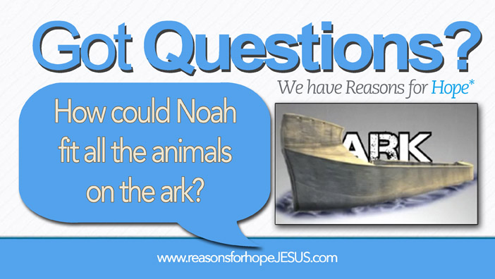 How Could Noah Fit All the Animals on the Ark? » Reasons for Hope* Jesus