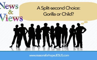 A Split-second Choice: Gorilla or Child?