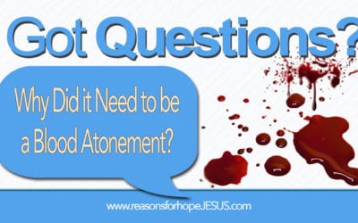 Why Did It Need to Be a Human-Blood Atonement?