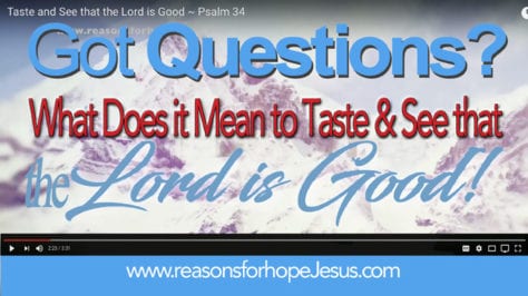 Taste and See the Lord is Good