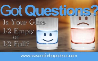Is Your Thanksgiving Glass ½ Empty or ½ Full?