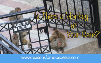 Is There a Monkey at Your Gate? The Importance of Protecting Our Gates