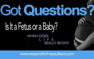 Is It a Fetus or a Baby?  Remember Pro-Life Day