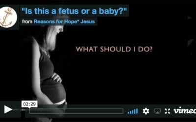 The Miracle of Life (Pro-life video)