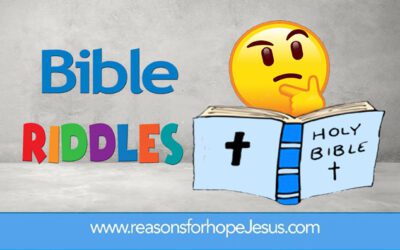 Bible Riddles: Noah and the Ark