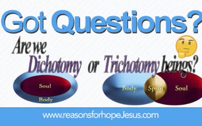 Are We Dichotomy or Trichotomy Beings? 