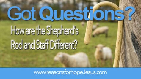 Shepherds Rod and Staff