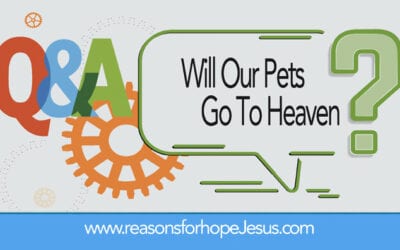 Will Our Pets Go To Heaven?