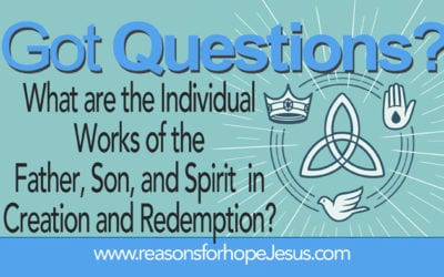 What are the Individual Works of the Trinity in Creation and Redemption?