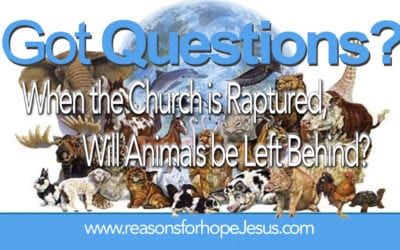 When the Church is Raptured, Will Animals be Left Behind?