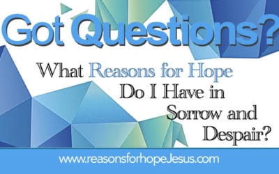 Reasons for Hope in Sorrow and Despair?
