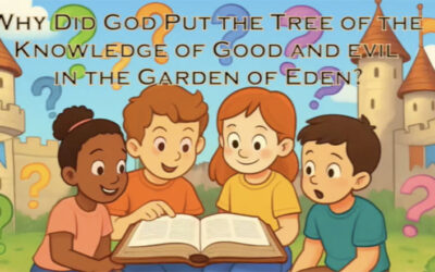Why Did God Put the Tree in the Garden of Eden -Q&A for kids