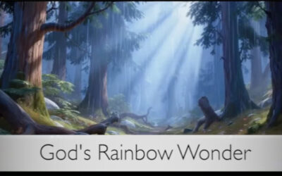 God’s Rainbow Wonder
