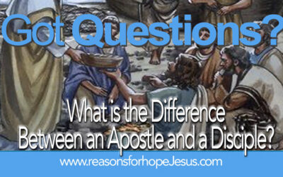 What is the Difference Between an Apostle and a Disciple?