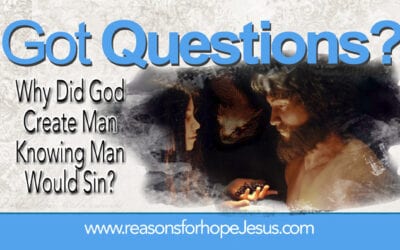 Why Did God Create Man Knowing Man Would Sin?
