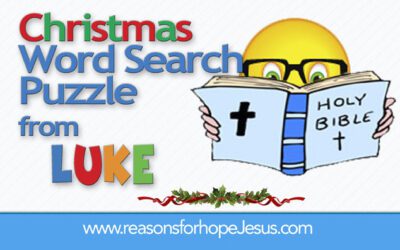 Christmas Word Search Puzzle from Luke