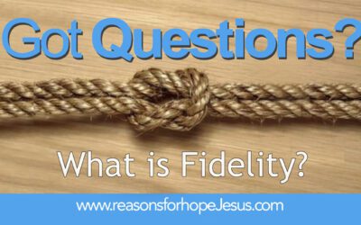 What is Fidelity?