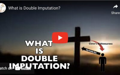 What is Double Imputation?
