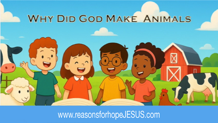 Why Did God Make Animals? Q & A for Kids
